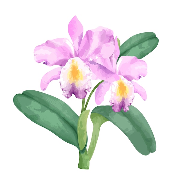 Hand getekend roze orchideebloem