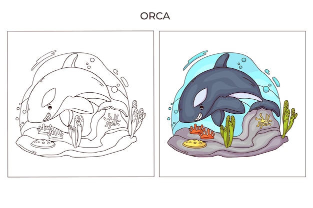 Hand getekend schattig oceaandier voor de kleurplaat Orca