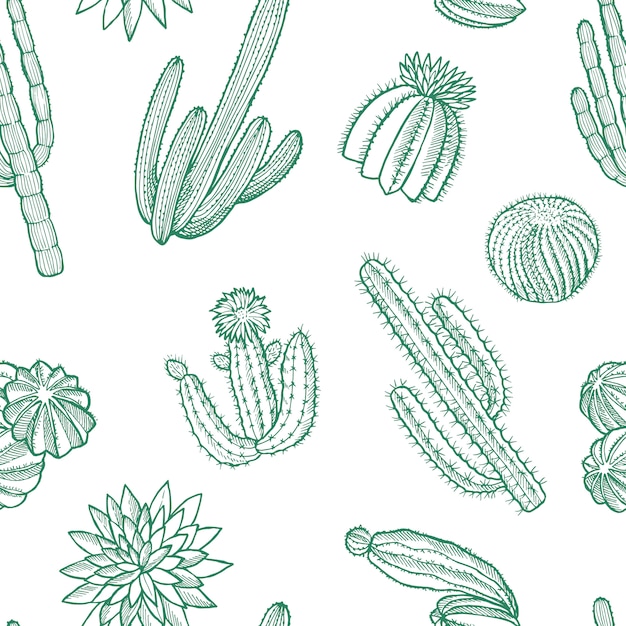 Hand getekend wild cactussen planten patroon