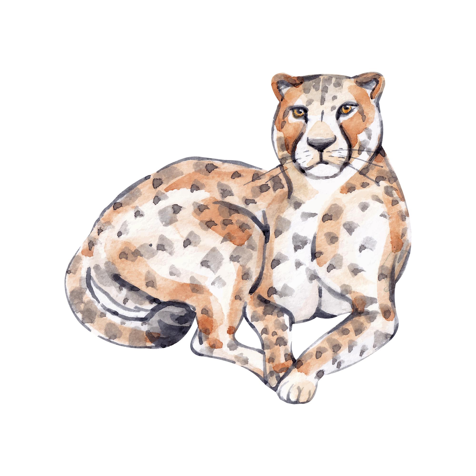 Hand getekende aquarel cheetah