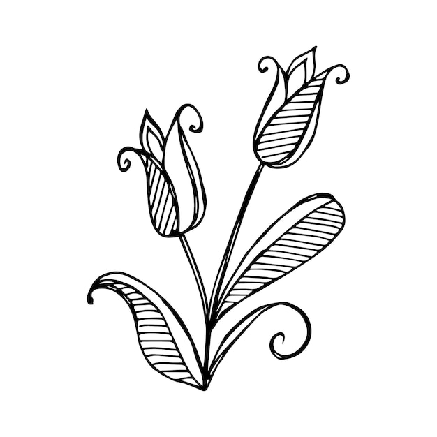 Hand getekende bloem enkel element voor het kleuren van zwart-wit vector afbeelding