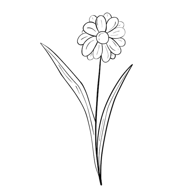 Hand getekende bloem geïsoleerd op een witte achtergrond Vector bloemen zomer element Decoratieve doodle schets illustratie