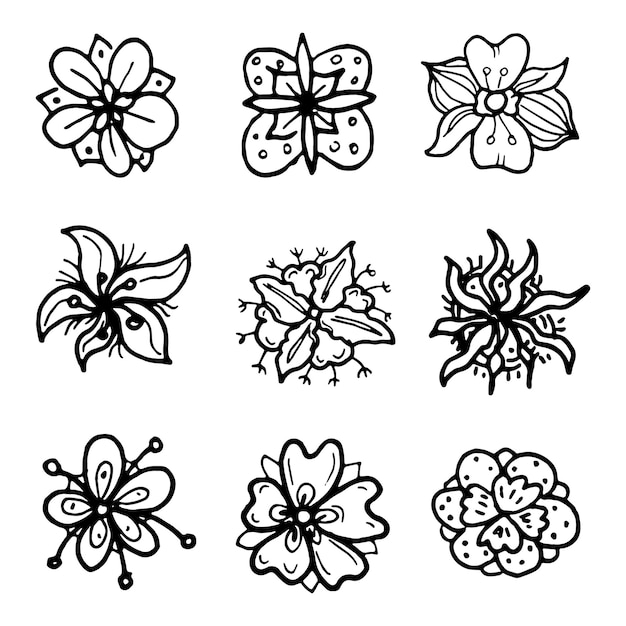 Hand getekende bloemen doodles set. Schets stijliconen. Decoratie-element. Geïsoleerd op een witte achtergrond. Plat ontwerp. Vector illustratie.