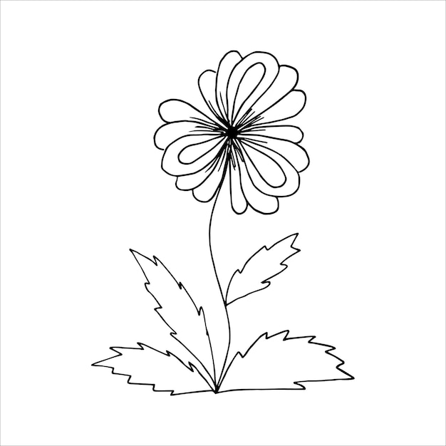 Hand getekende bloemstuk in zwart-witte kleur doodle of schets stijl vector