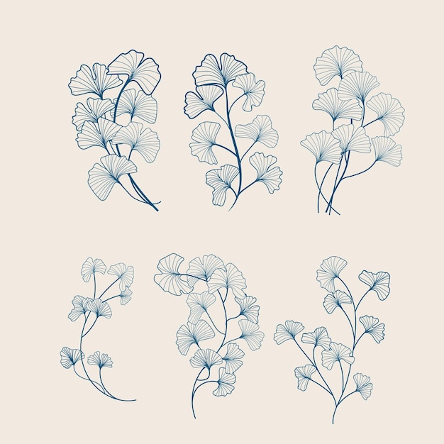 Vector hand getekende botanische illustraties