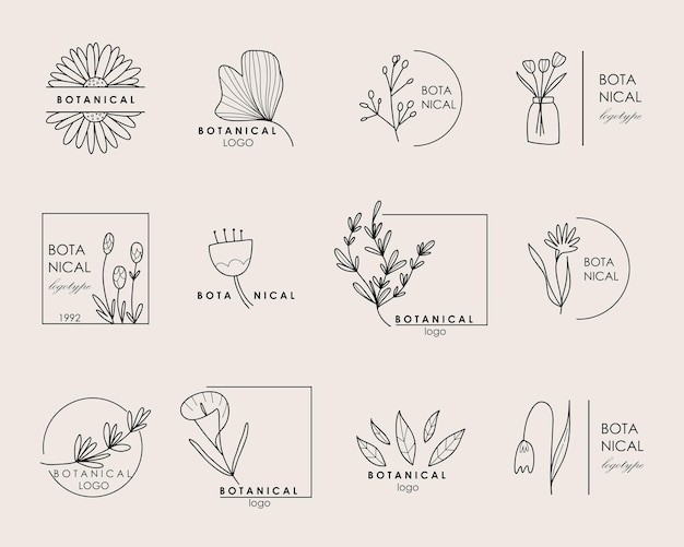 Hand getekende botanische logo floral lijn embleem natuurlijke logo sjabloon voor spa en beauty salon boutique elegante plant organische label minimalistische stijl rustieke bruiloft vector kaartset