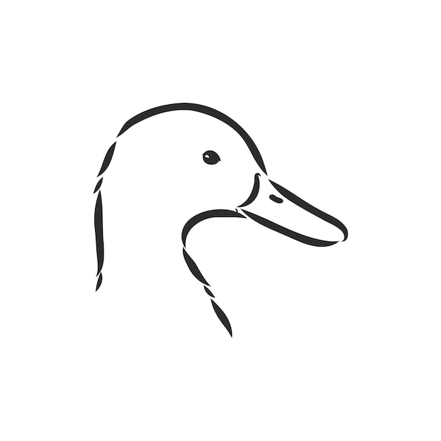 Hand getekende eend dierlijke vector illustratie eend vector schets op een witte background