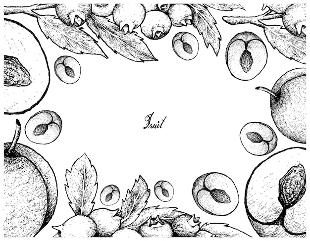 Hand getekende frame van pruim en bosbes