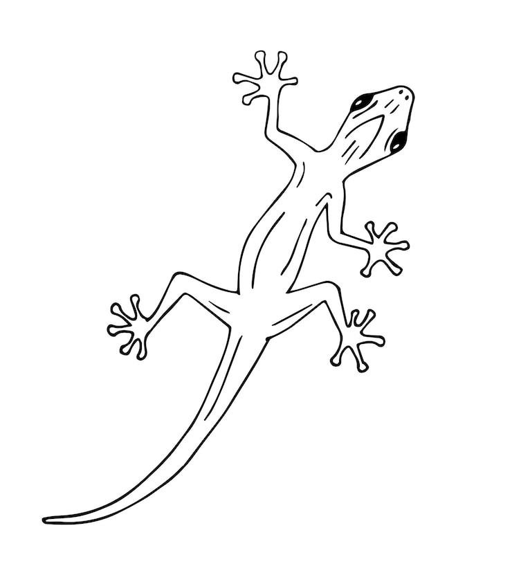 Vector hand getekende gekko hagedis geïsoleerd op witte achtergrond