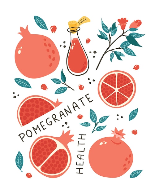 Vector hand getekende granaatappel stilleven. doodle stijl granaat fruit en zaden illustratie voor poster, banner, achtergrond, marktetiket, logo, sticker, briefkaart, menu, voedselpakket ontwerp en decoratie