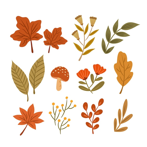 Hand getekende herfstbladeren collectie
