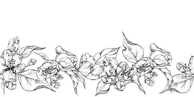 Hand getekende inkt appel bloemen en bladeren monochroom vector gedetailleerde schets naadloze horizontale banner geïsoleerd op witte achtergrond ontwerp voor kunst aan de muur bruiloft print stof omslagkaart