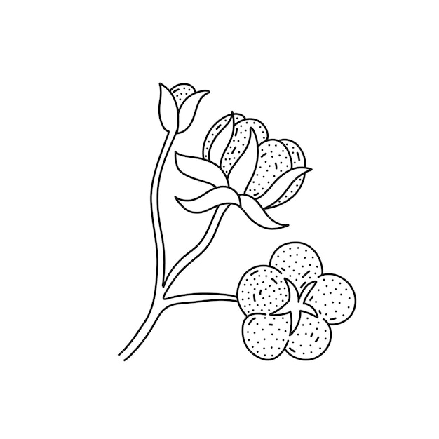 Hand getekende katoenen bloem pictogram in doodle stijl Cartoon katoenen bloem vector pictogram voor webdesign