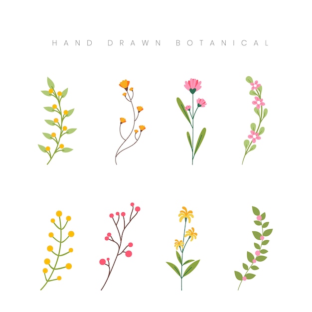 Vector hand getekende lente botanische concept bloem bloemen illustratie