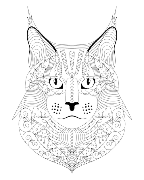 Vector hand getekende maine coon kat met etnische doodle patroon anti-stressprogramma kleurplaat voor volwassenen