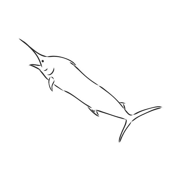 Hand getekende marlijn vissen springen. marlijn, vector schets op een witte achtergrond