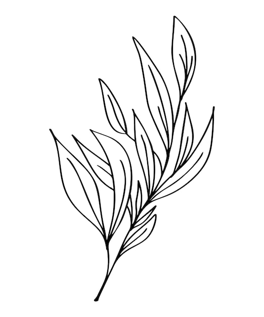 Hand getekende moderne bloemen tekenen en schetsen bloemen met lineart vector illustratie bruiloft ontwerp