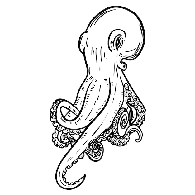 Hand getekende octopus illustratie. Zeevruchten. element voor logo, label, embleem, teken, poster, banner. illustratie