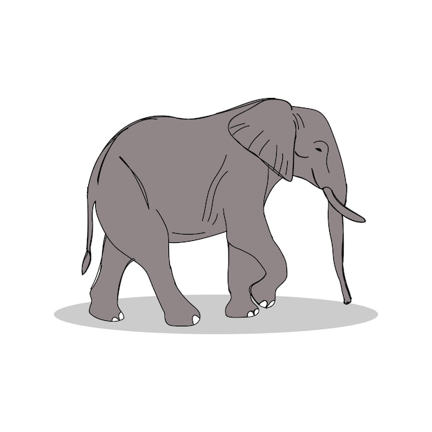 Hand getekende olifant illustratie