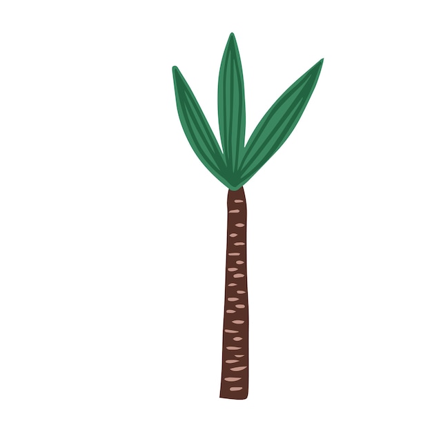 Hand getekende palmboom geïsoleerd op witte achtergrond Doodle exotische regenwoud boom