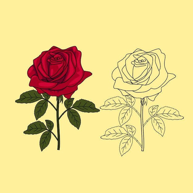 Hand getekende rode roos vectorillustratie en lijntekeningen