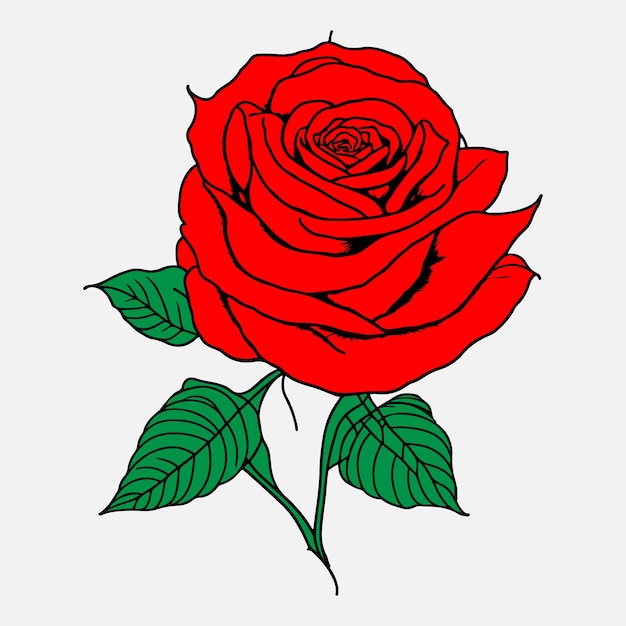 Hand getekende roos zwarte omtrek vector op witte achtergrond Red Rose vector Rose Flower