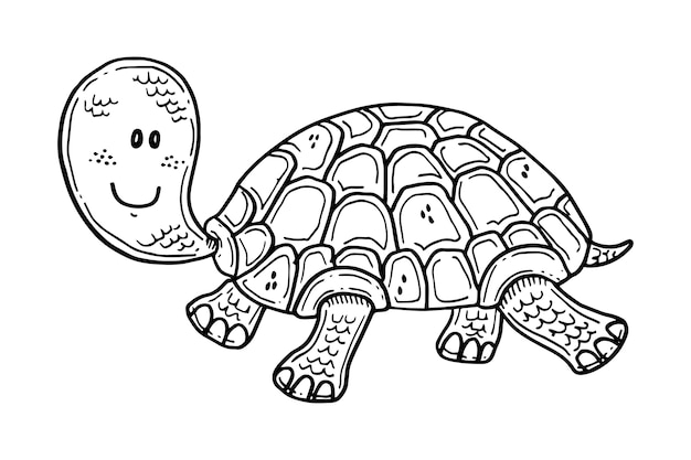 Vector hand getekende schildpad schets illustratie