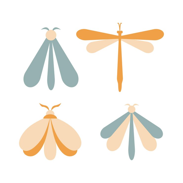 Hand getekende set kleur nachtvlinder geïsoleerd op een witte achtergrond. Vlinder vectorillustratie. Mysterie symbolen. Ontwerp voor verjaardag, feest, kledingafdrukken, wenskaarten.