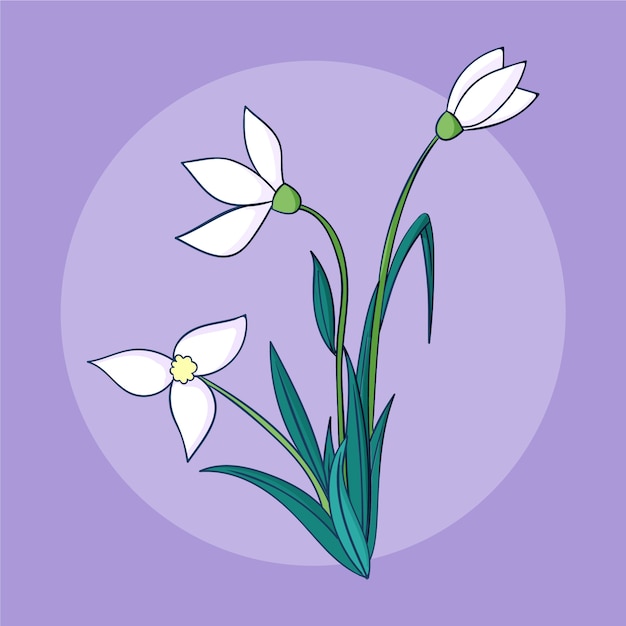 Vector hand getekende sneeuwklokje plant illustratie