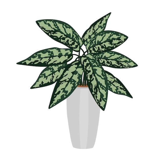 Hand getekende vector van groene kamerplant in pot Home decor gezellige plant botanische bladeren decoratieve bloemsierkunst geïsoleerd op een witte achtergrond kleurrijk groen doodle schets illustratie