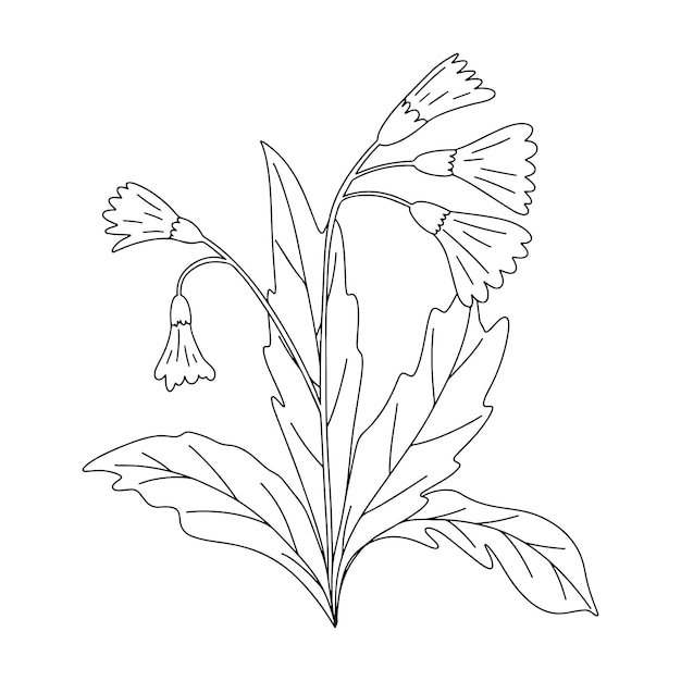 Hand getekende vectorillustratie van bloeiende weide wilde bloemen Primula veris in doodle style