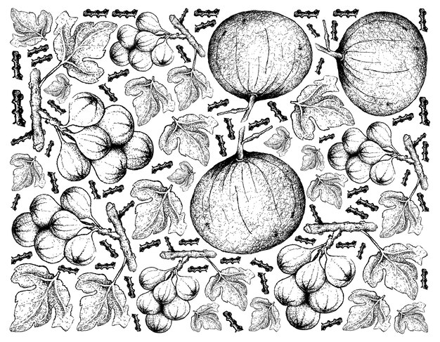 Hand getrokken achtergrond van Sweet Ripe Santol en Cluster Fig