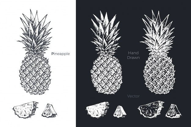 Hand getrokken ananas set