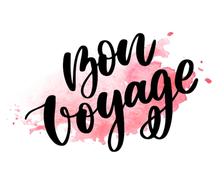 Vector hand getrokken belettering. bon voyage handgeschreven moderne kalligrafie.
