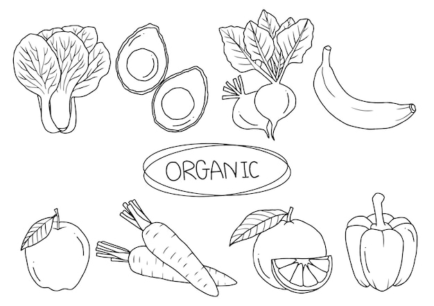 Hand getrokken biologische groenten en fruit vegetarische doodle clipart minimale overzicht zwart-wit ontwerpelementen voor decoraties vector