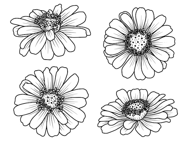 Hand getrokken bloem schets lijn kunst illustratie