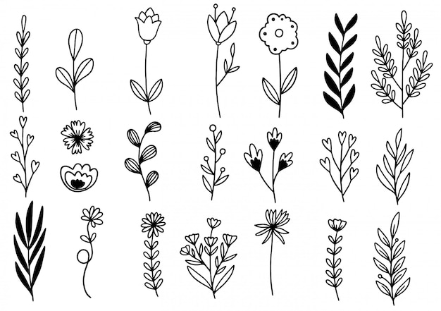 Vector hand getrokken bloemen doodle