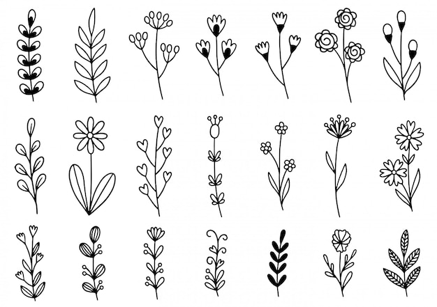 Vector hand getrokken bloemen doodle