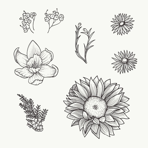 Hand getrokken bloemen vector collectie