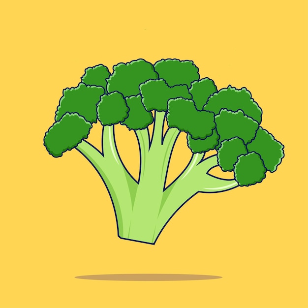 hand getrokken broccoli illustratie vector desgin groente icon