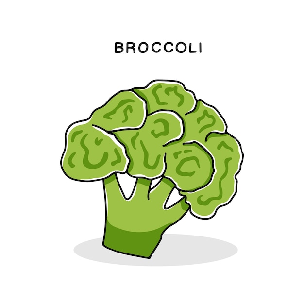 Hand getrokken broccoli kool pictogram vectorillustratie geïsoleerd op een witte achtergrond in doodle stijl