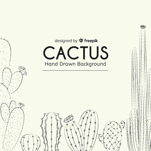 Hand getrokken cactus achtergrond