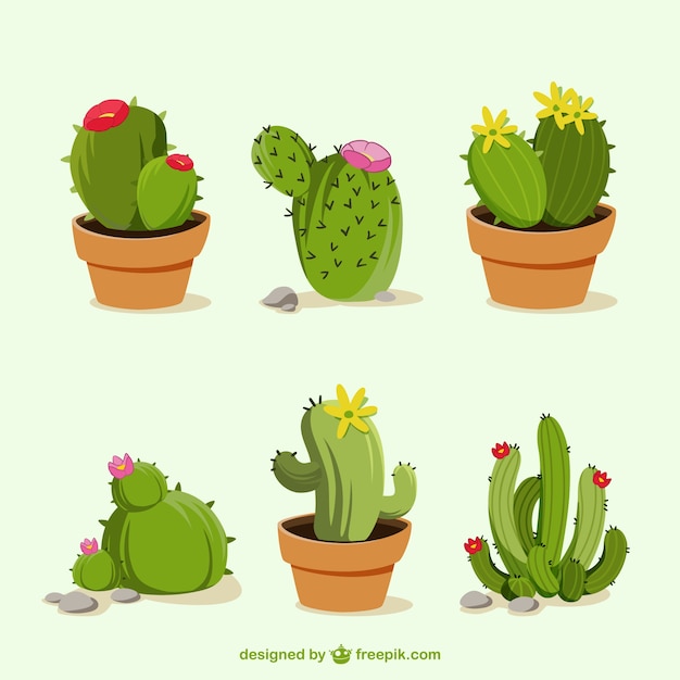 Hand getrokken cactus cartoons