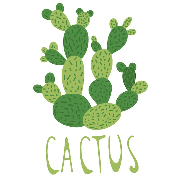 Vector hand getrokken cactus doodle stijl geïsoleerd op een witte achtergrond