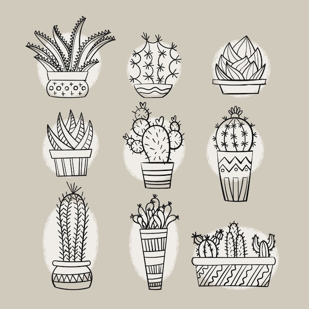 Hand getrokken cactus doodles