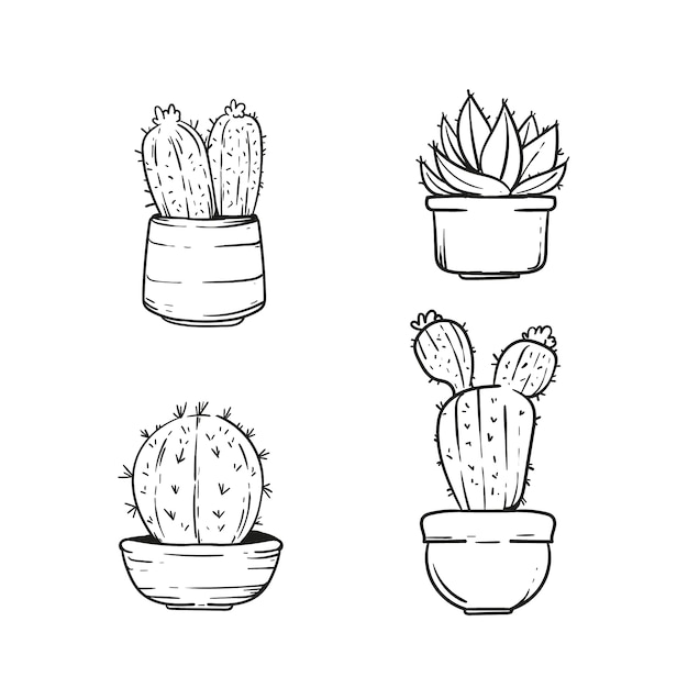 Vector hand getrokken cactus schets illustratie