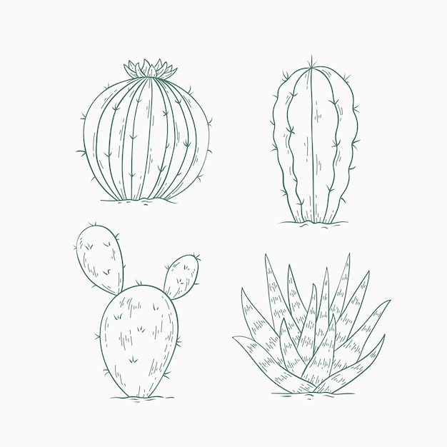 Vector hand getrokken cactus schets illustratie