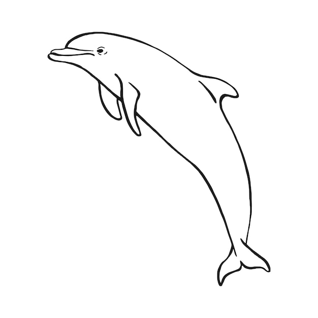 Hand getrokken dolfijn Vectorillustratie in schetsstijl Springende dolfijn geïsoleerd op een witte achtergrond