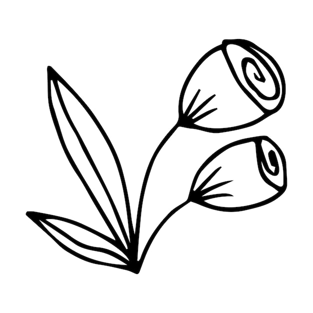 Vector hand getrokken doodle botanisch bloemenelement voor bloemenontwerpconcept