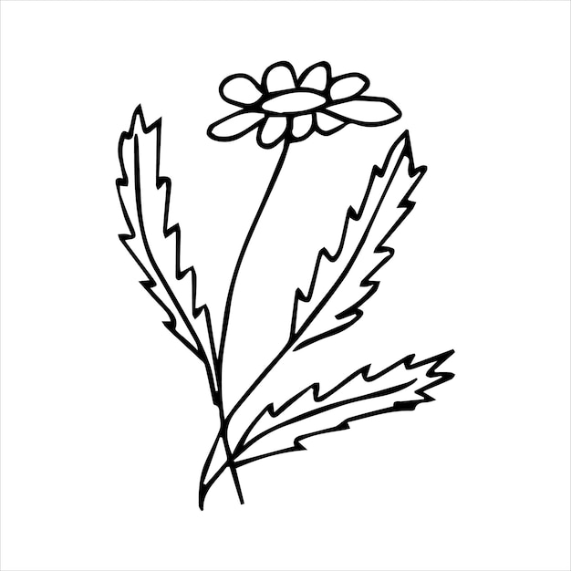 Hand getrokken doodle botanisch bloemenelement voor bloemenontwerpconcept